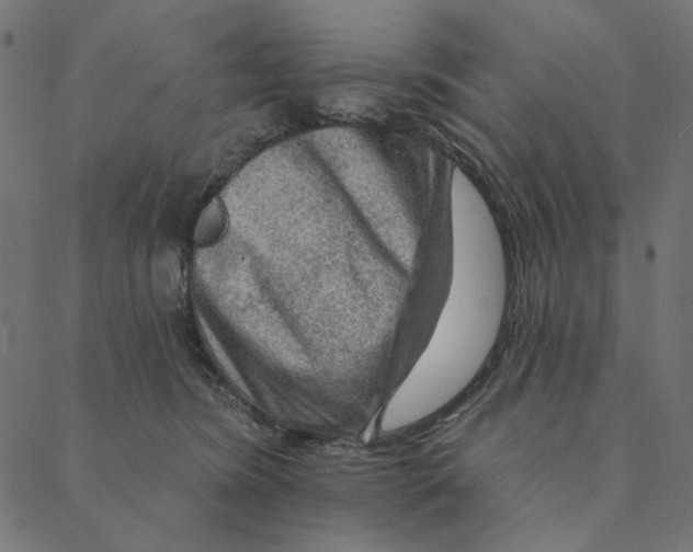 X0000087380420200705181247