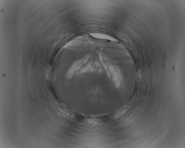 X0000087380423200705181247