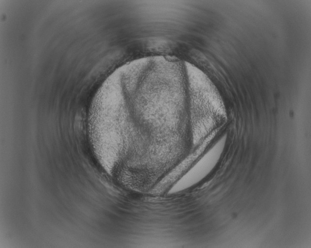 X0000087380424200705181247