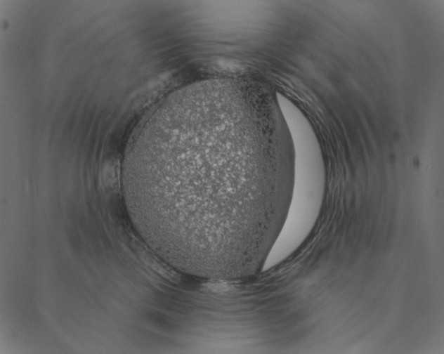 X0000087380425200705181247