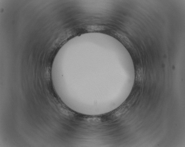 X0000087380426200705181247