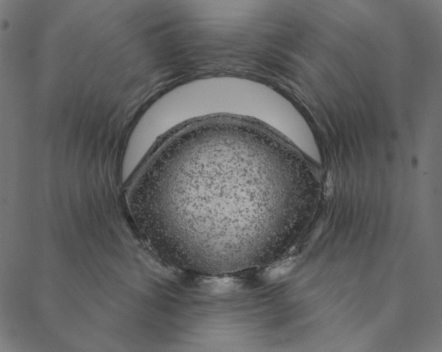 X0000087380428200705181247