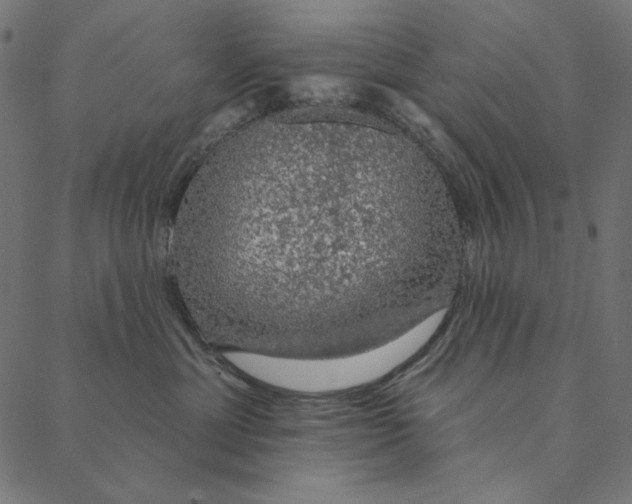 X0000087380429200705181247