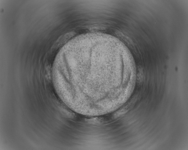 X0000087380430200705181247