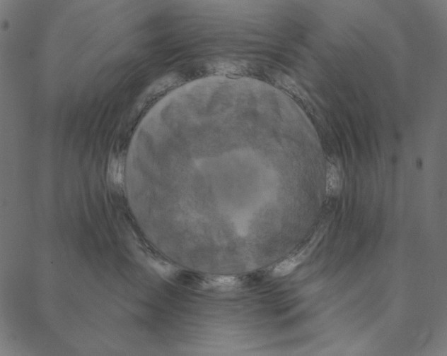 X0000087380431200705181247