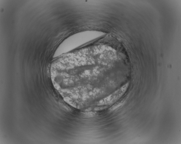 X0000087380432200705181247