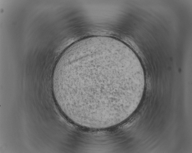 X0000087380433200705181246