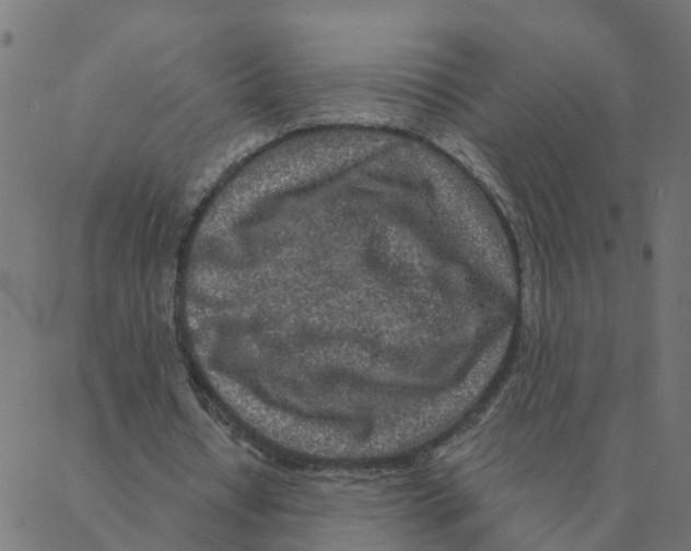 X0000087380434200705181246