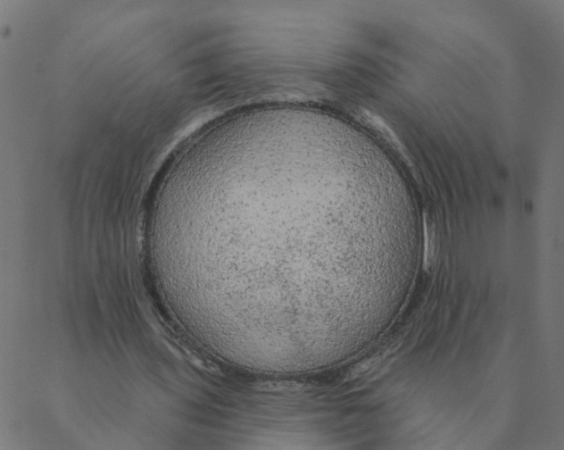 X0000087380435200705181246