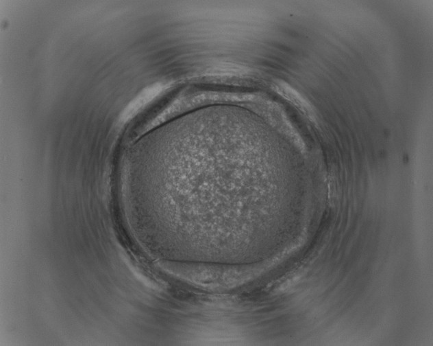 X0000087380436200705181246