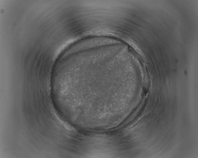 X0000087380438200705181246