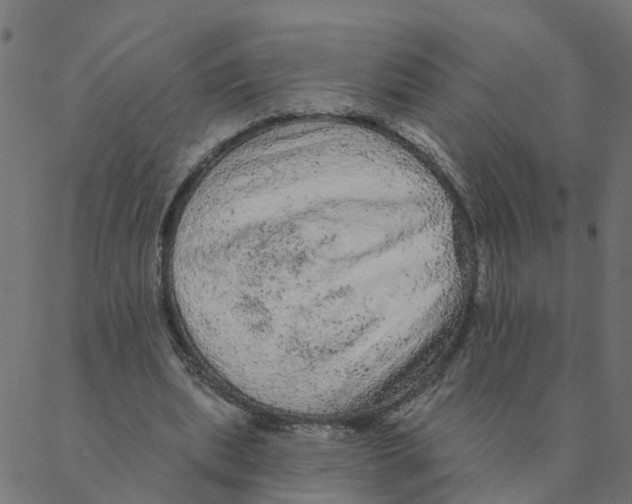 X0000087380439200705181246