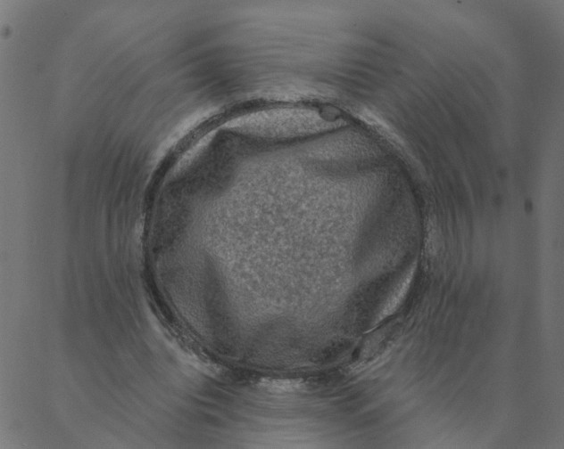 X0000087380440200705181246