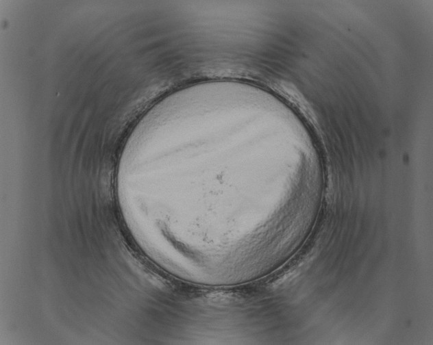 X0000087380441200705181246