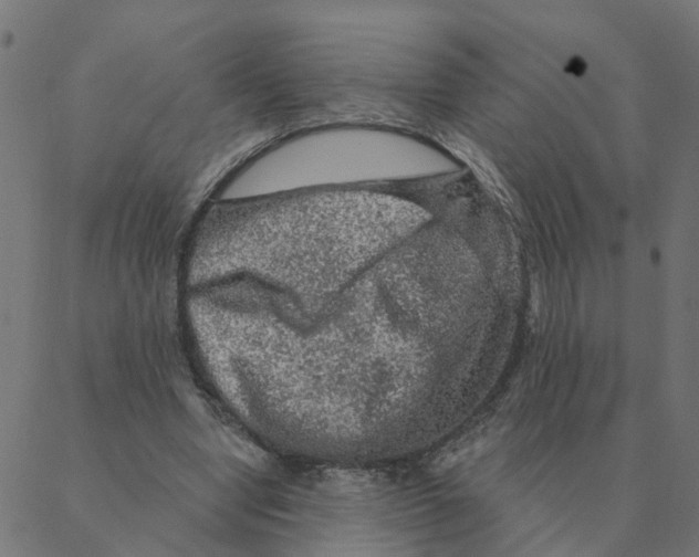 X0000087380442200705181246