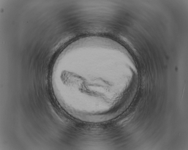 X0000087380443200705181246