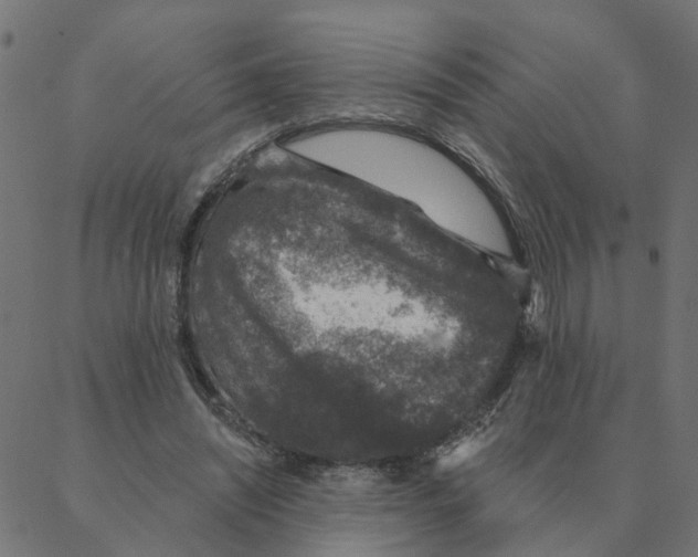 X0000087380444200705181246