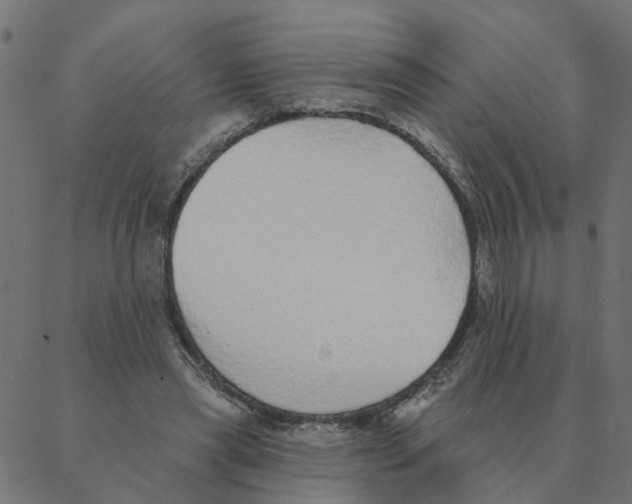 X0000087380445200705181246