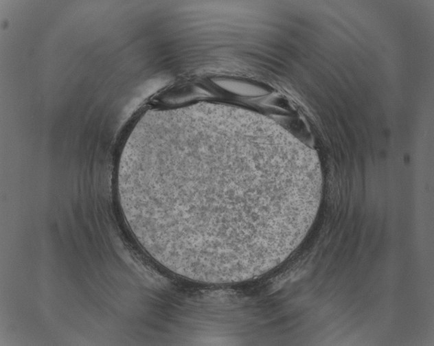 X0000087380446200705181246