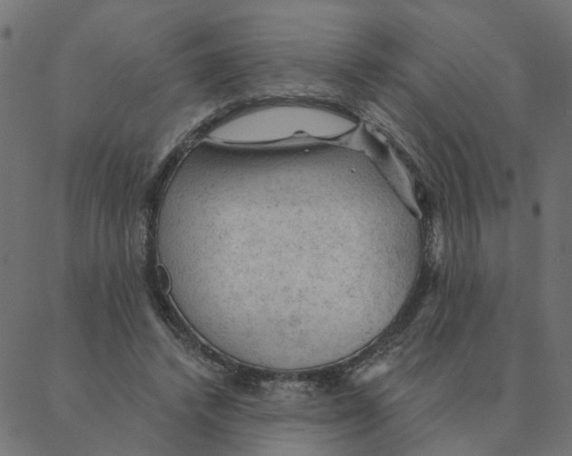 X0000087380448200705181246