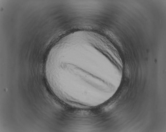 X0000087380449200705181246