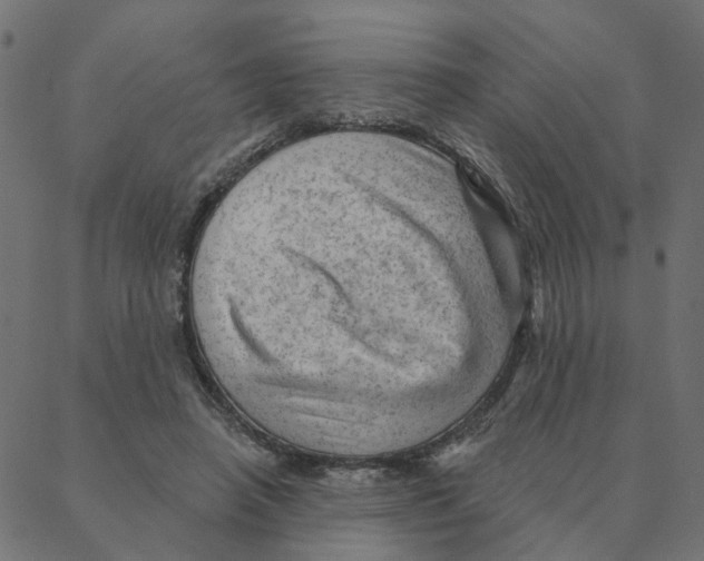 X0000087380450200705181246