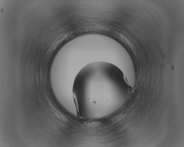 X0000087380452200705181246