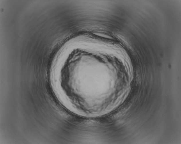 X0000087380453200705181246