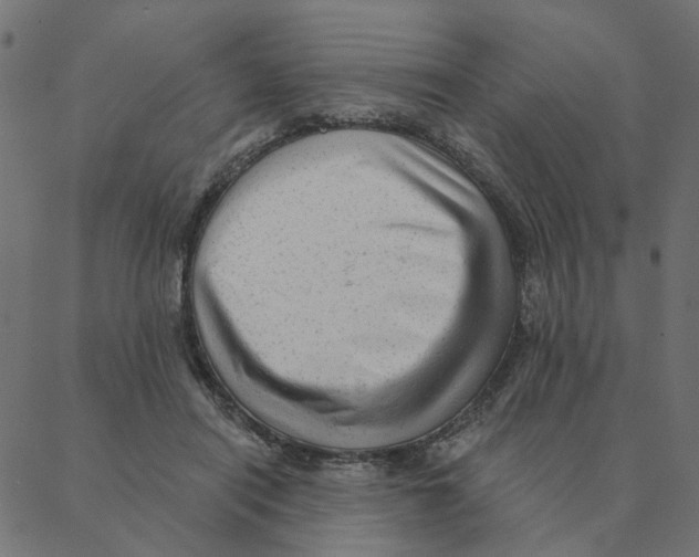 X0000087380454200705181246