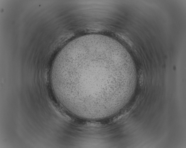 X0000087380455200705181246