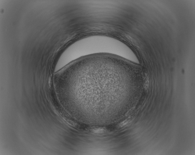 X0000087380456200705181246