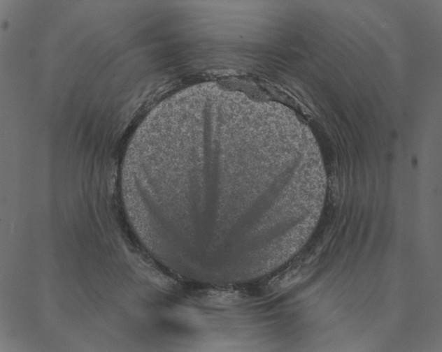 X0000087380458200705181246