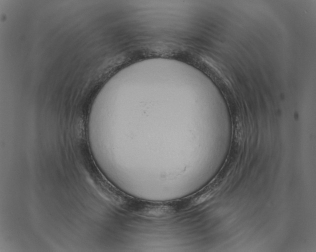 X0000087380459200705181246