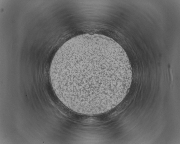 X0000087380460200705181246