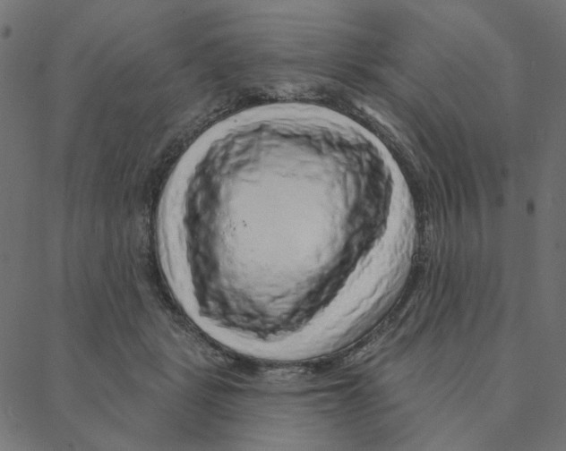 X0000087380461200705181246