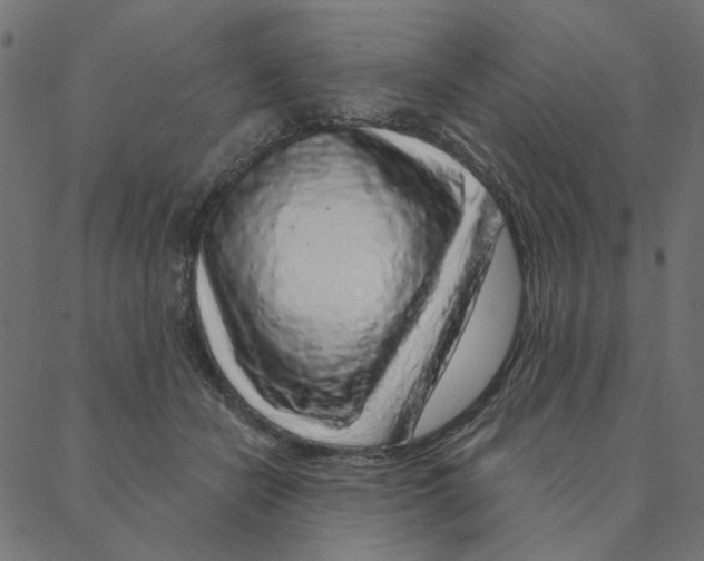 X0000087380462200705181246