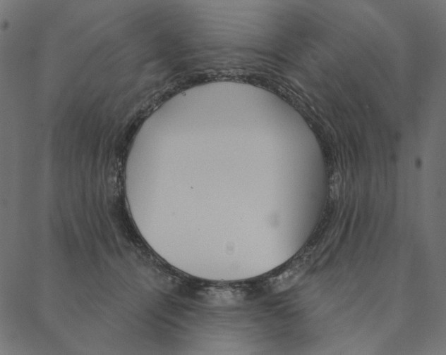 X0000087380464200705181246