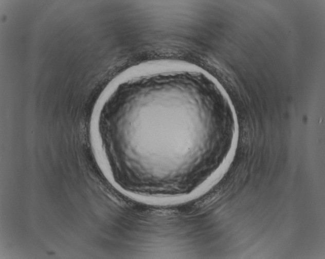 X0000087380465200705181246