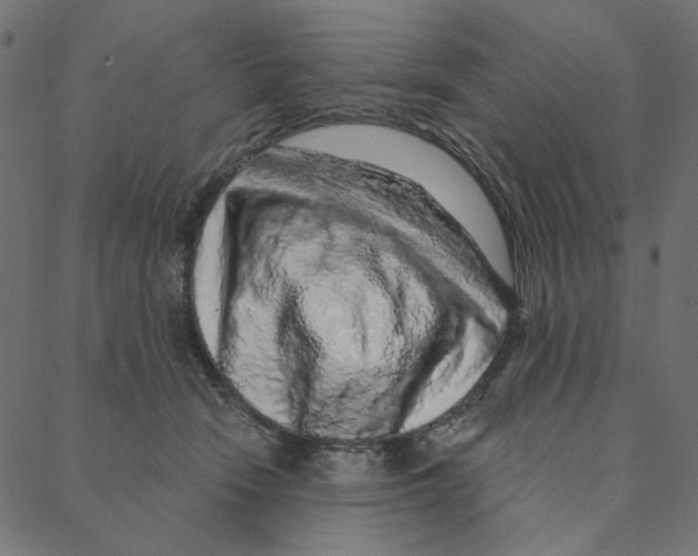 X0000087380466200705181246