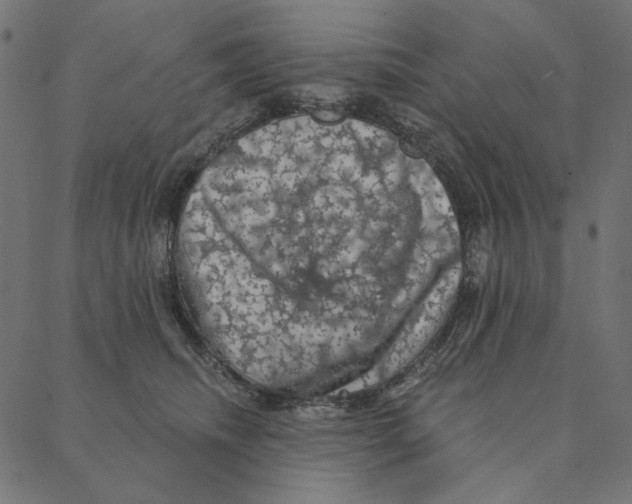 X0000087380468200705181246