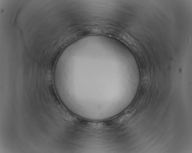 X0000087380469200705181247