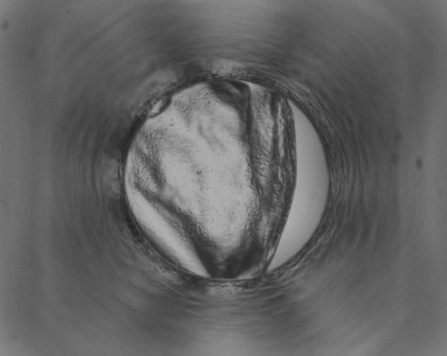 X0000087380470200705181247