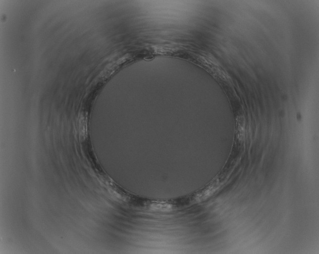 X0000087380471200705181247