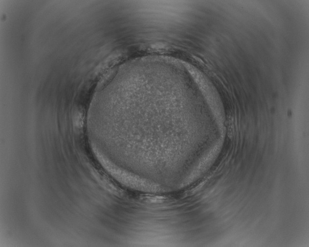 X0000087380472200705181247