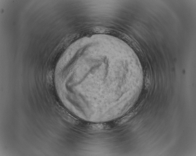 X0000087380473200705181247