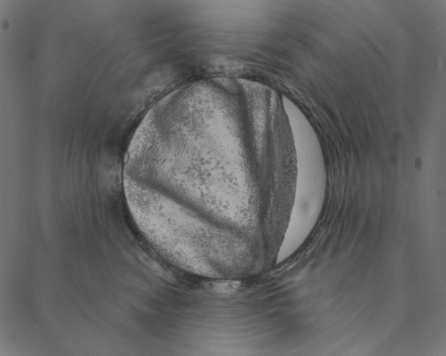 X0000087380474200705181247