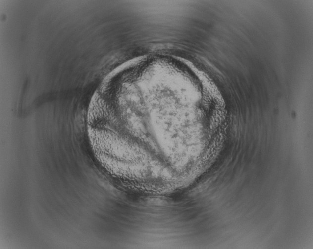 X0000087380475200705181247