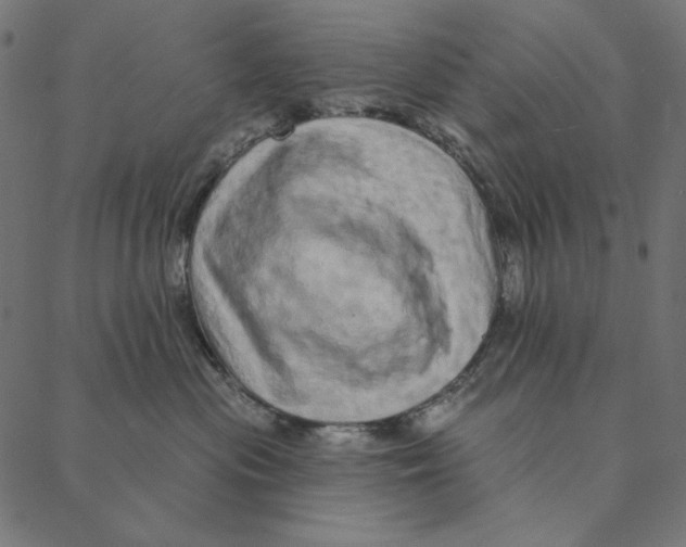 X0000087380477200705181247