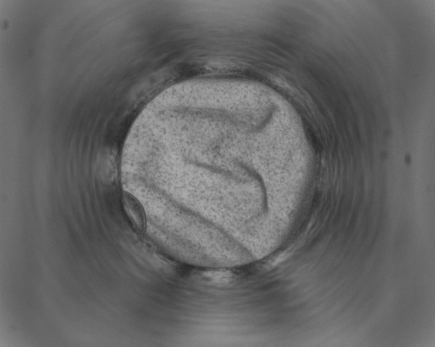 X0000087380478200705181247