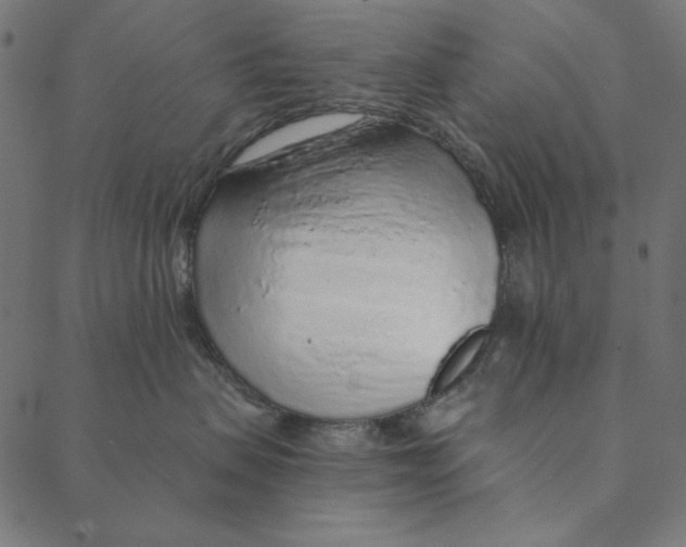 X0000087380479200705181247